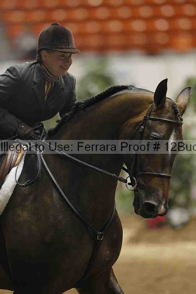 Proof 12buck_0657