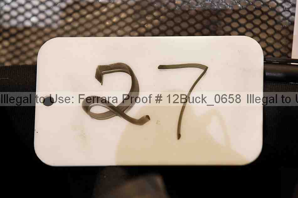 Proof 12buck_0658
