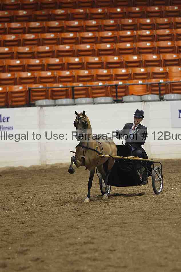 Proof 12buck_0660