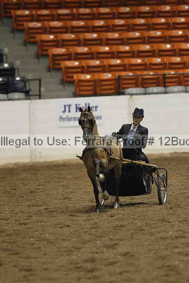 Proof 12buck_0661