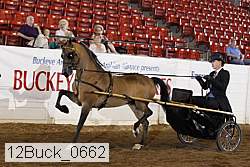 12buck_0662 proof