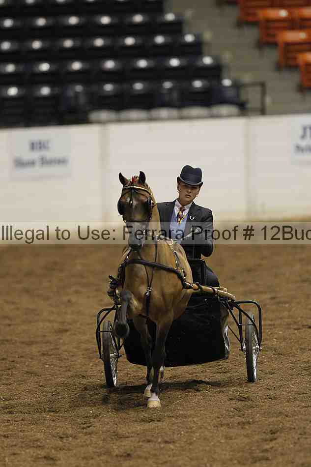 Proof 12buck_0663