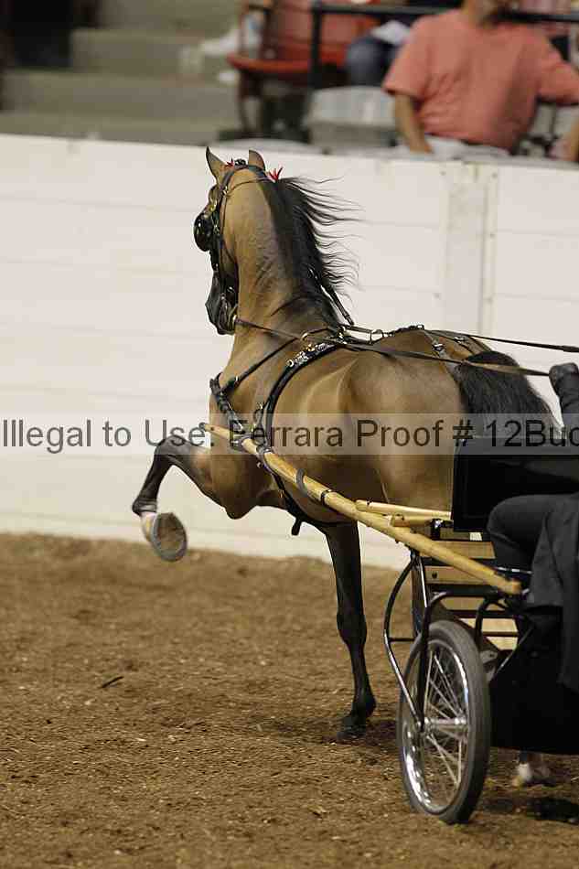 Proof 12buck_0664