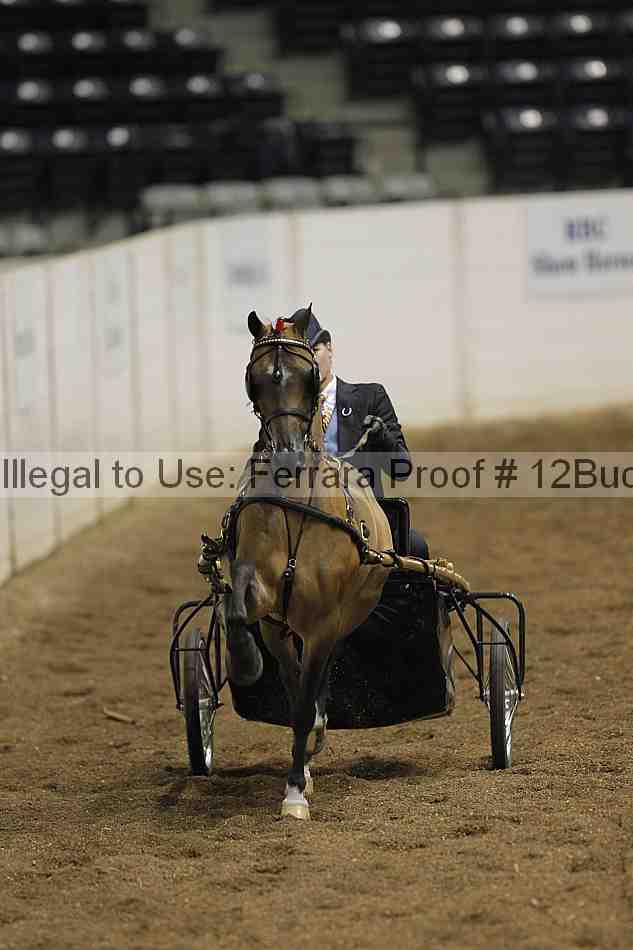 Proof 12buck_0666