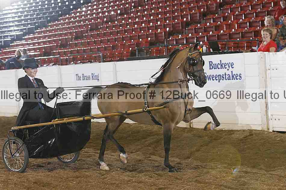 Proof 12buck_0669