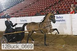 12buck_0669 proof