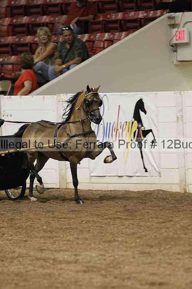 Proof 12buck_0672