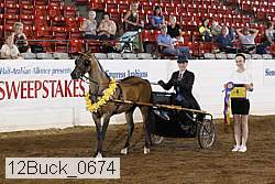 12buck_0674 proof