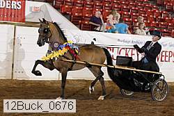 12buck_0676 proof