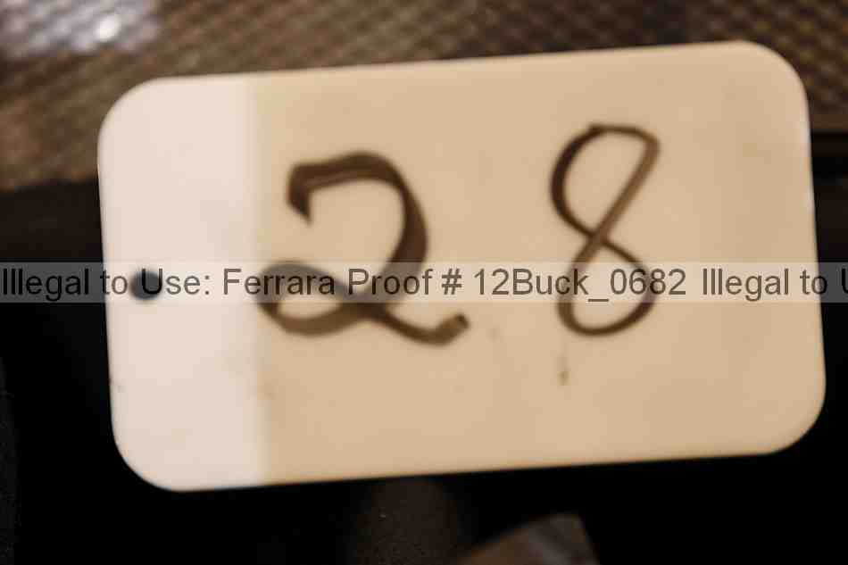 Proof 12buck_0682