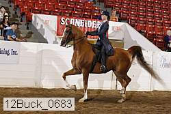 12buck_0683 proof