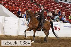 12buck_0684 proof