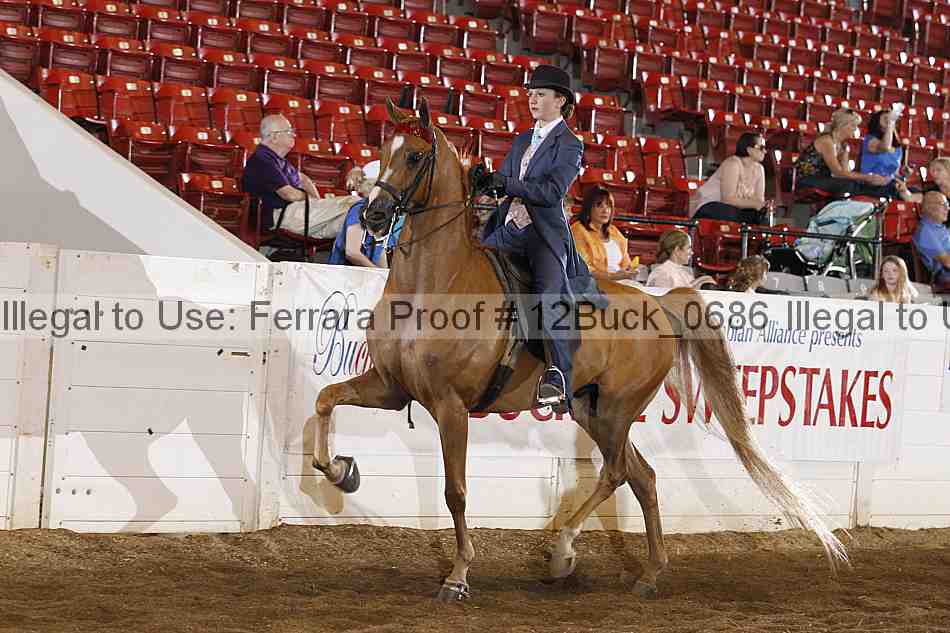 Proof 12buck_0686