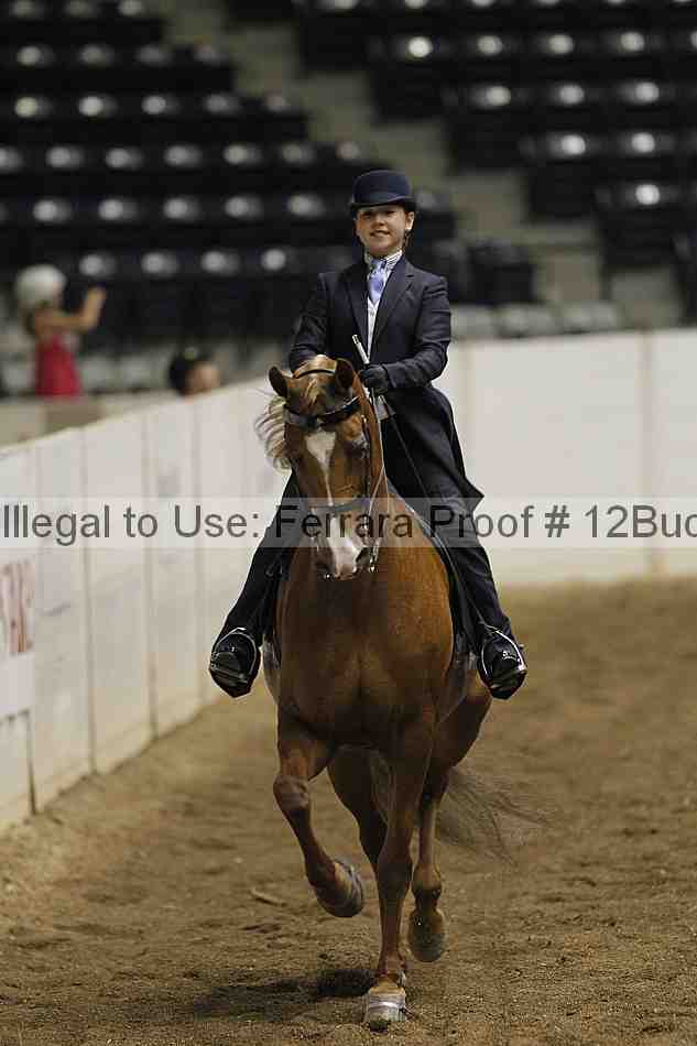 Proof 12buck_0697