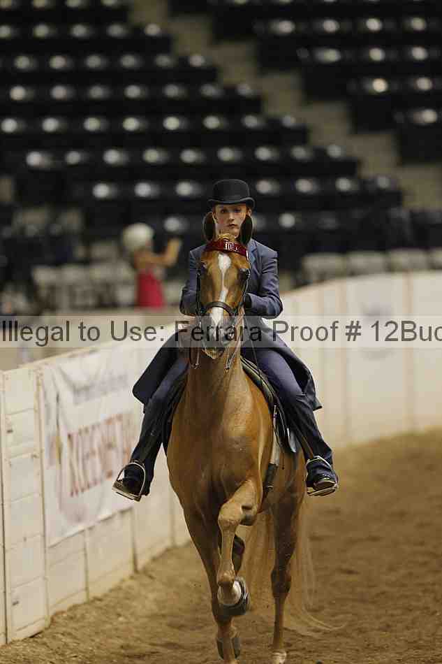 Proof 12buck_0699