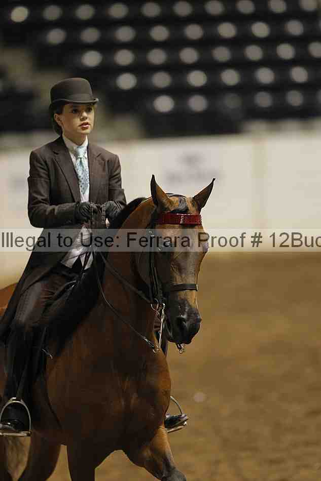 Proof 12buck_0701