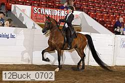 12buck_0702 proof