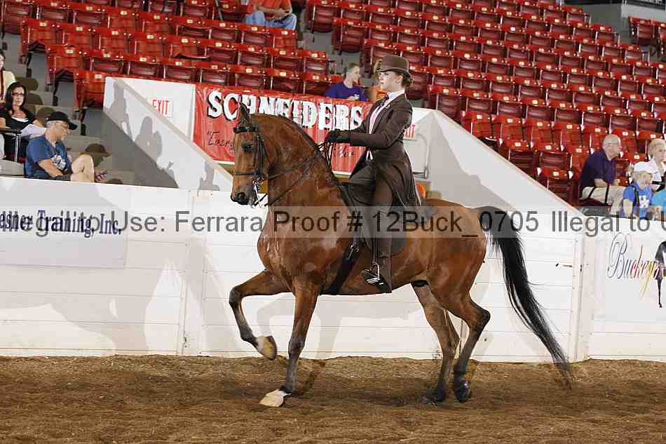 Proof 12buck_0705