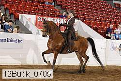 12buck_0705 proof