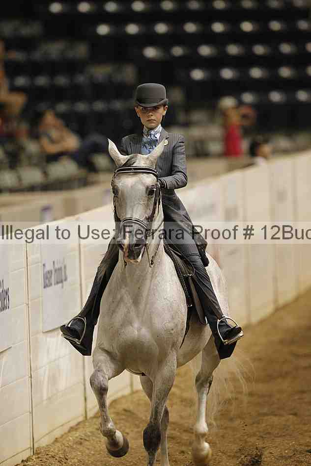 Proof 12buck_0707