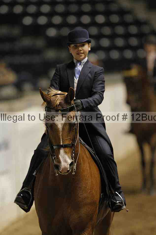 Proof 12buck_0708