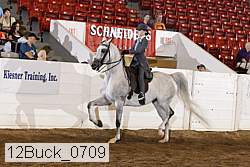 12buck_0709 proof
