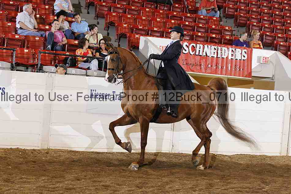 Proof 12buck_0710