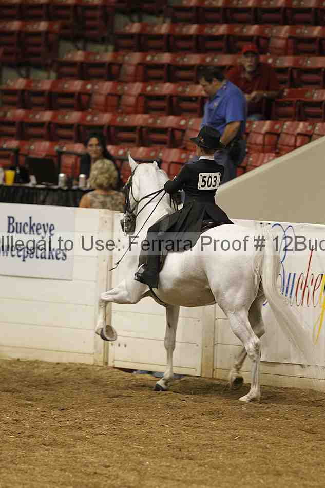 Proof 12buck_0711