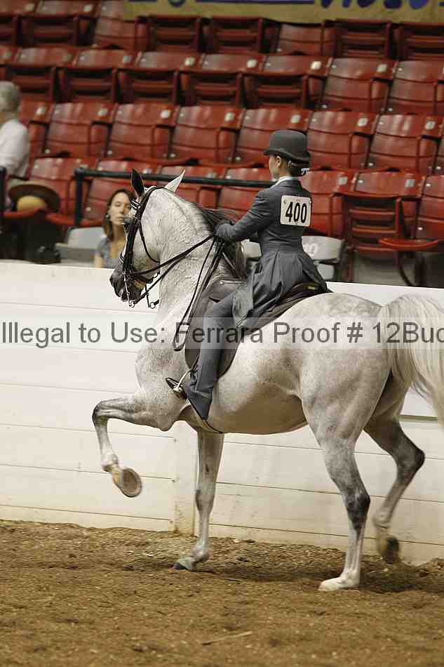 Proof 12buck_0713