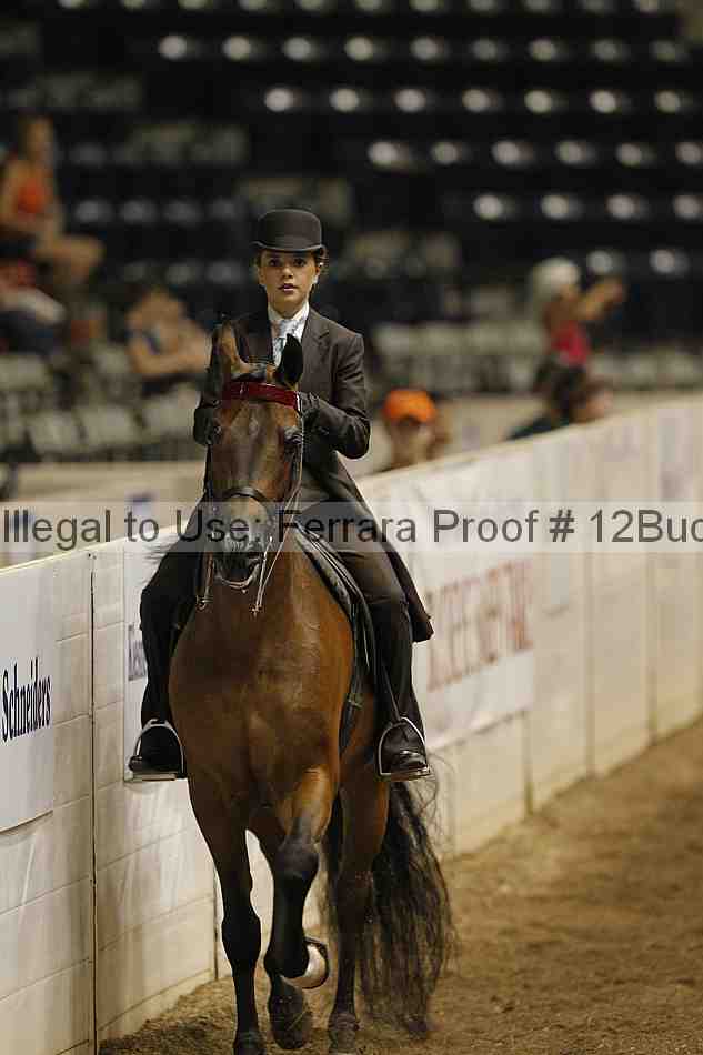 Proof 12buck_0718