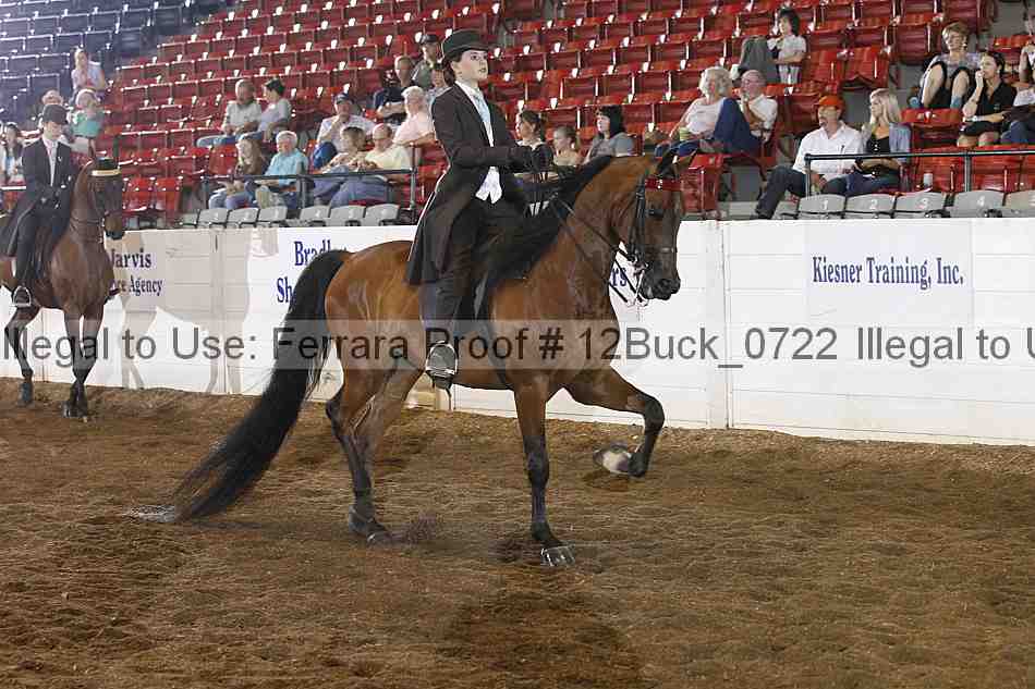 Proof 12buck_0722