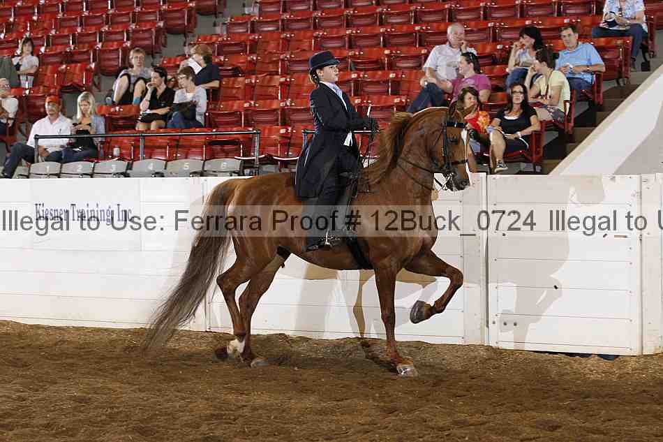 Proof 12buck_0724