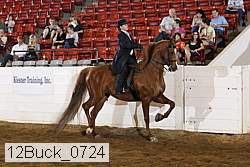 12buck_0724 proof