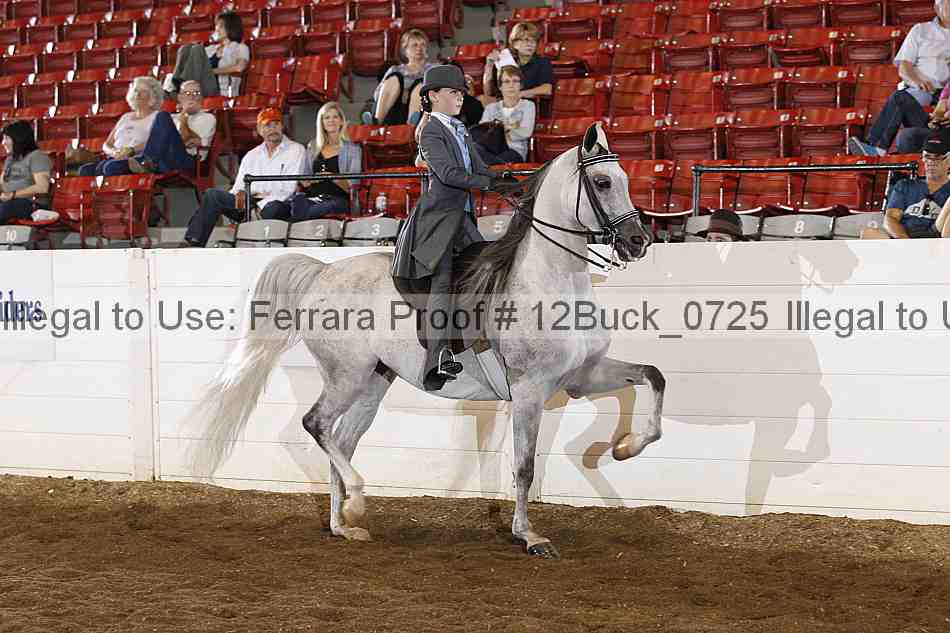 Proof 12buck_0725