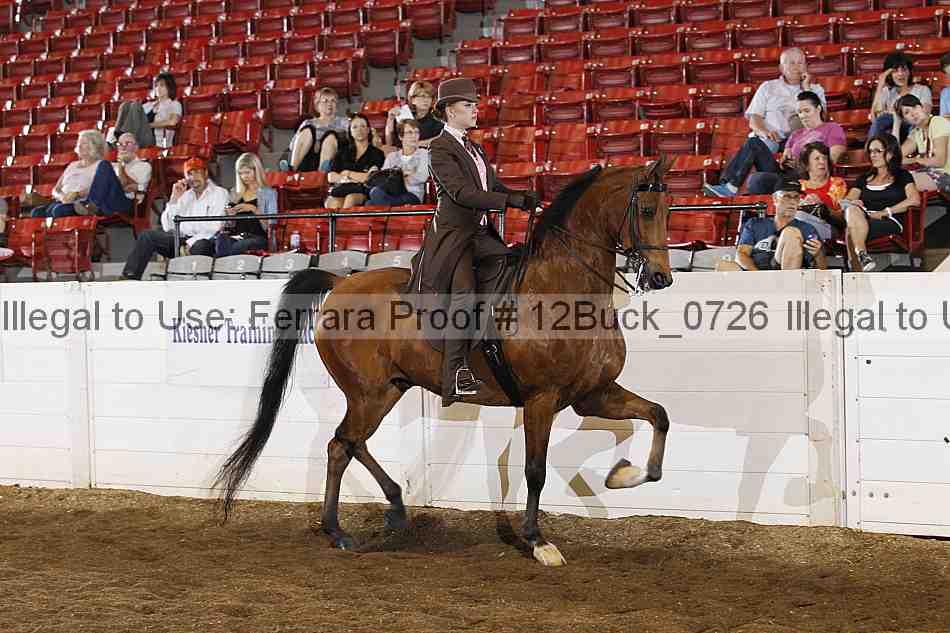 Proof 12buck_0726
