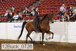 12buck_0726 proof