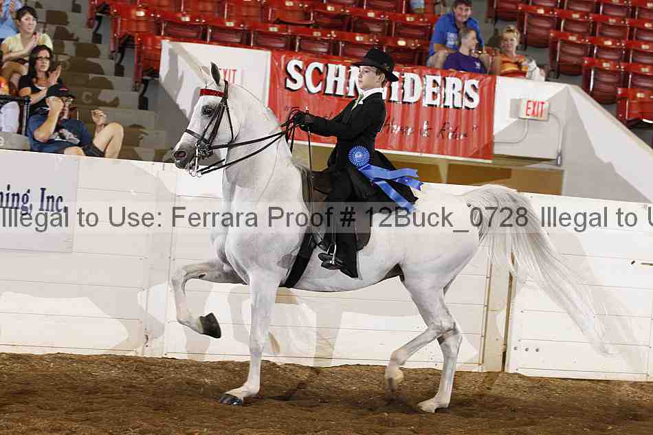 Proof 12buck_0728