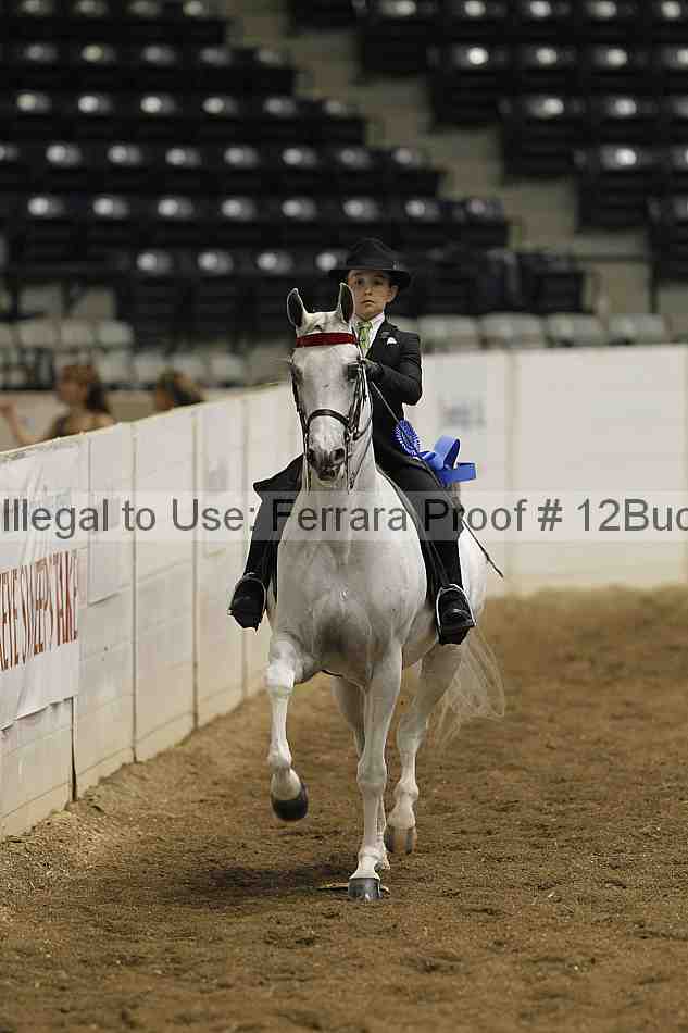 Proof 12buck_0730