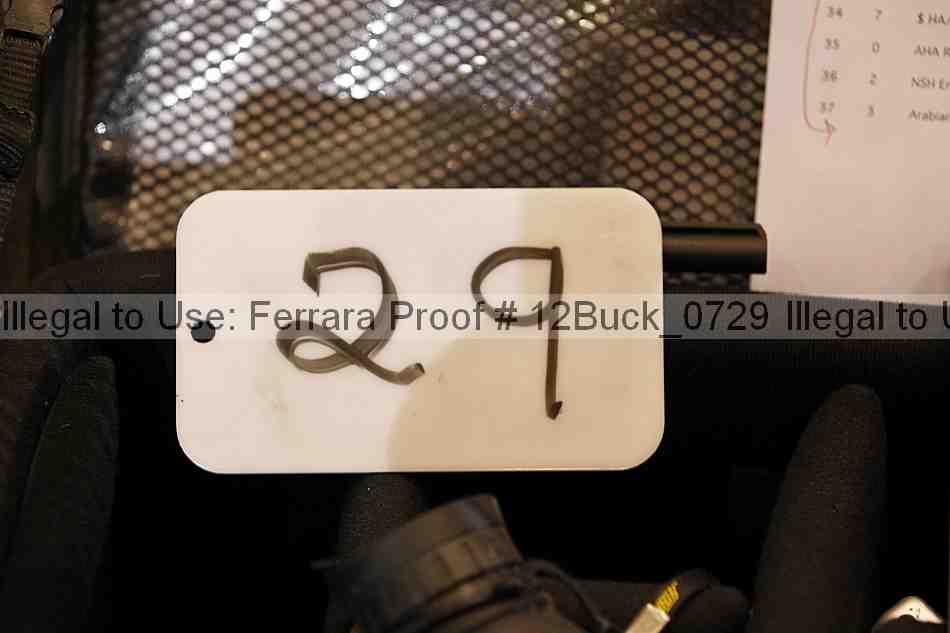 Proof 12buck_0729