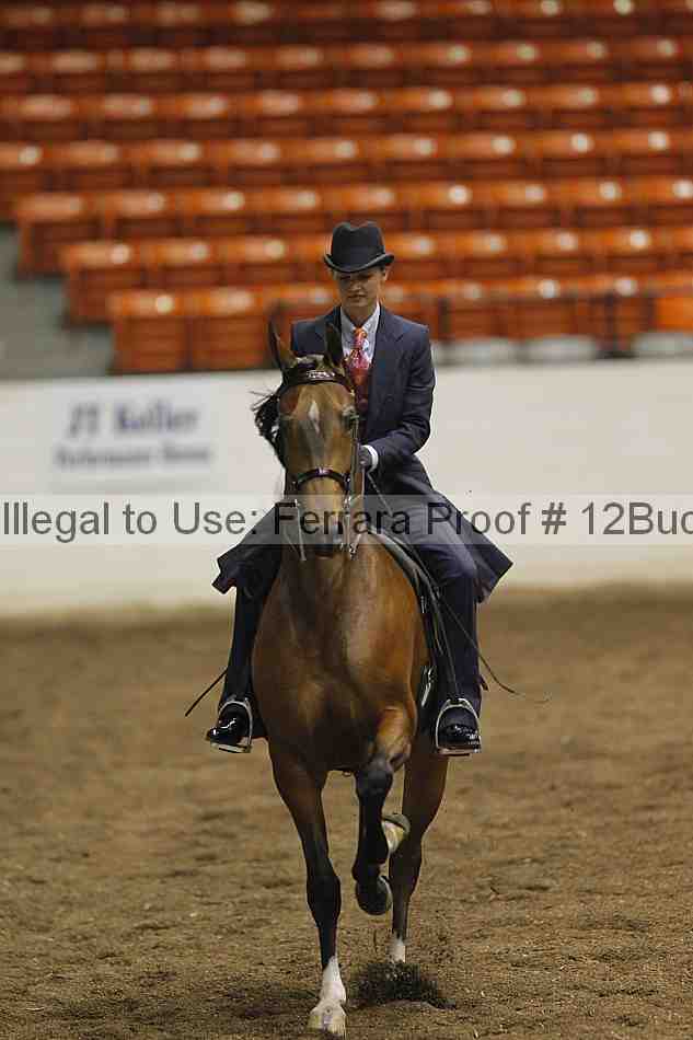 Proof 12buck_0732