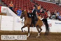 12buck_0733 proof