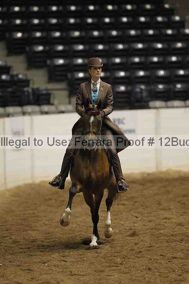 Proof 12buck_0734