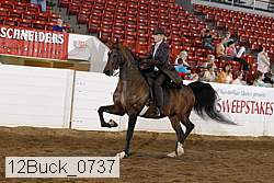 12buck_0737 proof