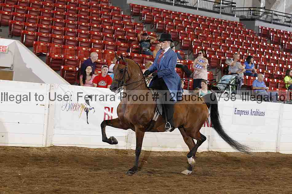 Proof 12buck_0738