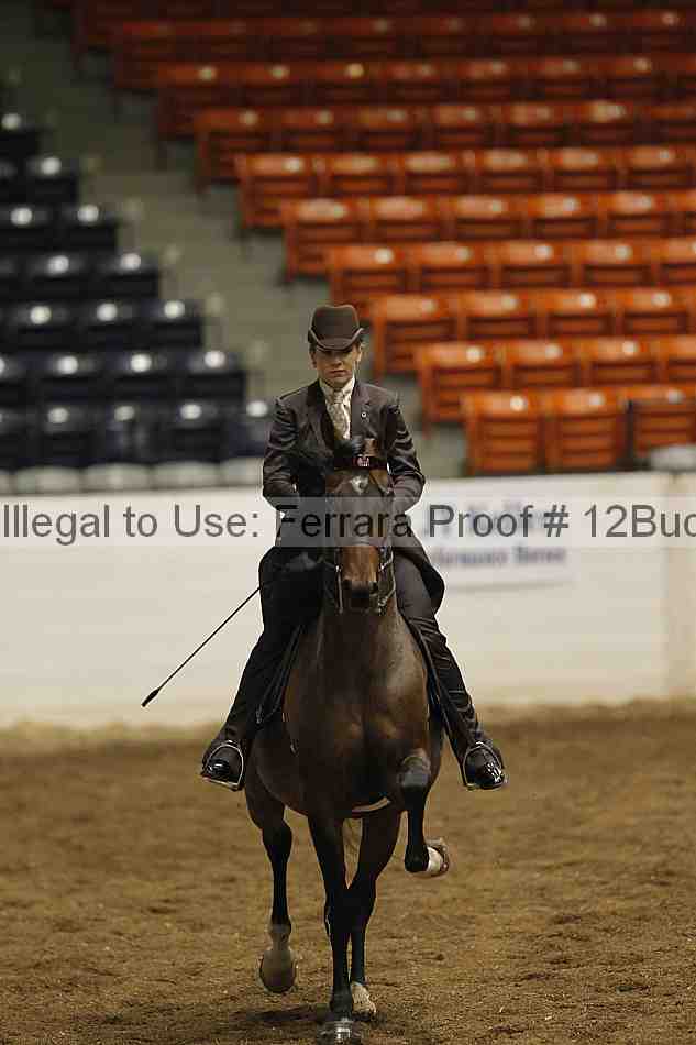 Proof 12buck_0739
