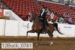 12buck_0741 proof