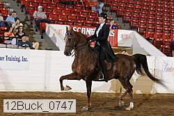12buck_0747 proof