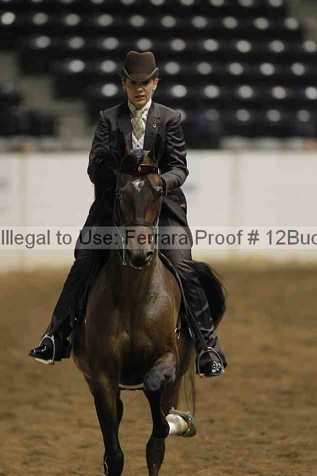 Proof 12buck_0748