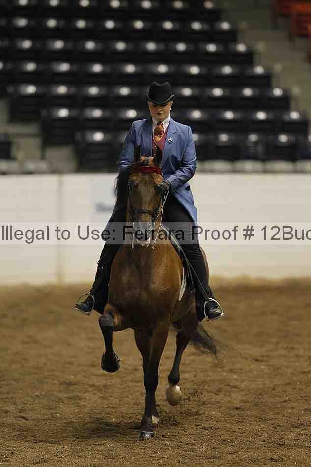 Proof 12buck_0749