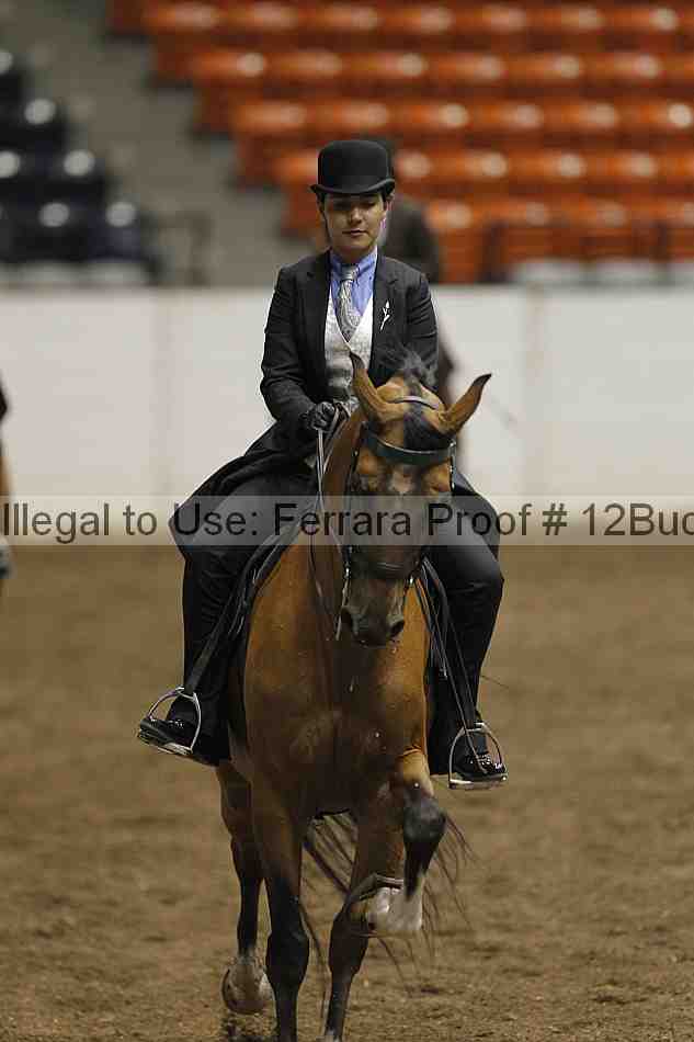Proof 12buck_0753
